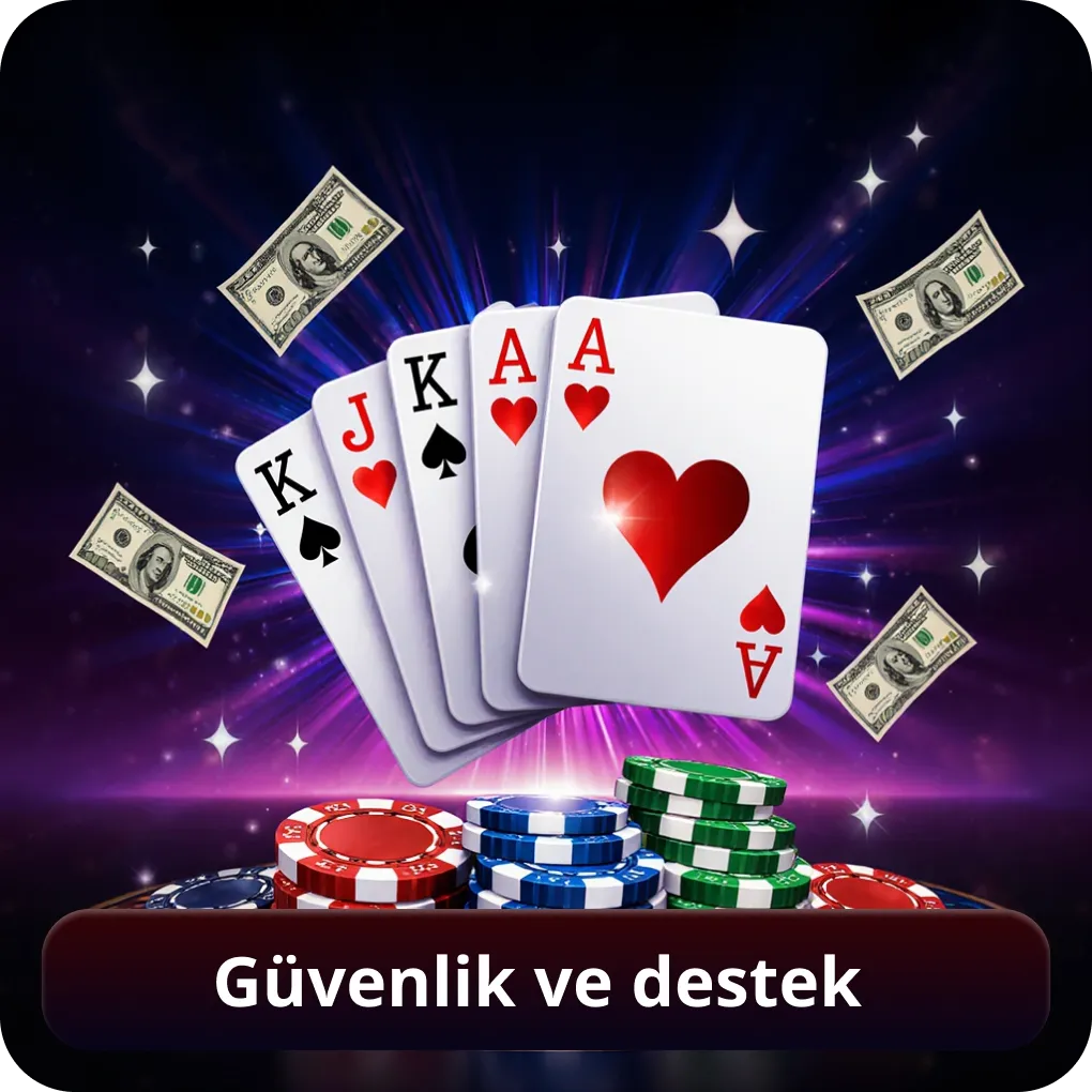 Güvenlik ve Destek